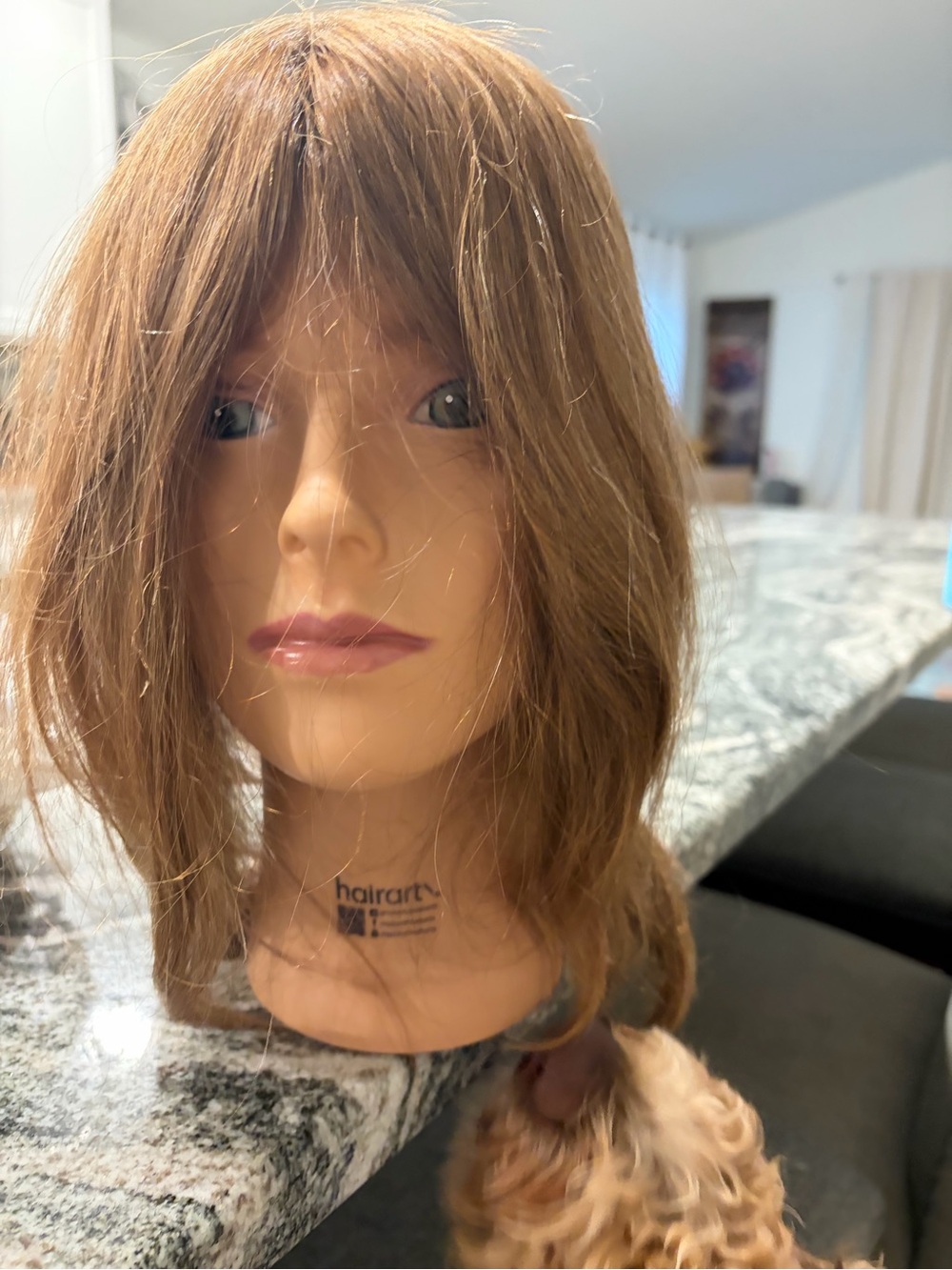 HairArt Emma #4822LB 100% Virgin European Human Hair Mannequin Head - Picture 3 of 7